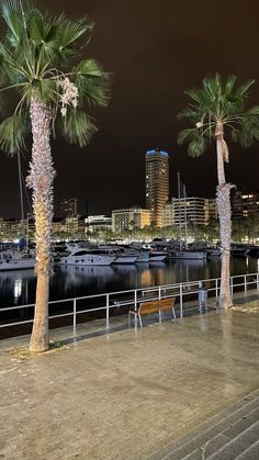 two palm trees are next to the water