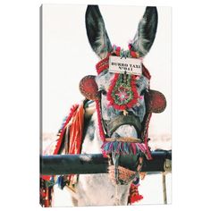 a donkey wearing a colorful headdress with a sign on it's forehead