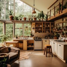 a kitchen filled with lots of potted plants