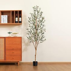 a small tree in a black pot next to a cabinet with wine bottles on it