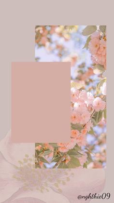 pink flowers and leaves on a gray background with a light pink rectangle in the center