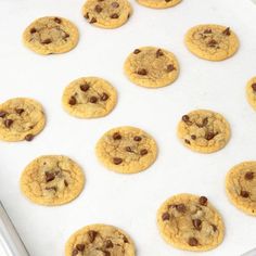 chocolate chip cookies on a baking sheet ready for the oven to be baked in or out