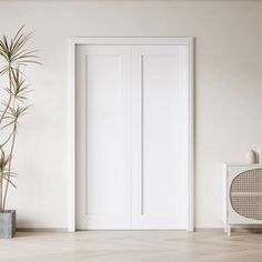 an empty room with a white door and potted plant on the floor next to it