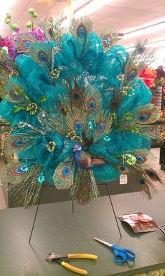 peacock feathers are displayed on a table with scissors