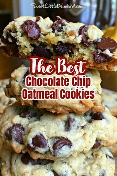 THE BEST CHOCOLATE CHIP OATMEAL COOKIES Chewy Chocolate Chip Granola Bars, Cookie Perfection, Oats Chocolate, Chocolate Chip Oatmeal Cookies, Oatmeal Chocolate Chip Cookie Recipe, Chocolate Chip Granola Bars, Best Chocolate Chip, Chocolate Cookie Recipes, Chewy Chocolate Chip