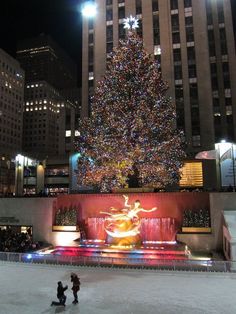 two people standing in front of a large christmas tree with lights on it's side