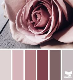 a pink rose is shown in the center of this color swatches set with neutral tones