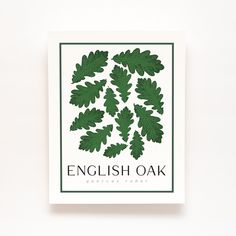 an english oak leaf print on a white background with the words english oak below it