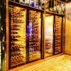 the wine cellar is full of many different types of bottles in it's glass doors