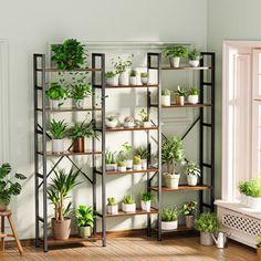 a room filled with lots of potted plants next to a window on top of a hard wood floor