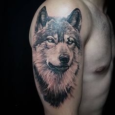 a man with a wolf tattoo on his arm