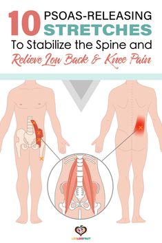 illustration of psoas muscle and trigger points within the psoas muscle with text - 10 psoas-releasing stretches to stabilize the spine and relieve low back and knee pain Psoas Muscle Pain, Psoas Stretch, Lower Back Pain Stretches, Nervus Vagus, Hata Yoga, Psoas Release, Back Stretches For Pain, Lower Back Pain Exercises, Yoga Kurse