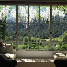 a window with two chairs in front of it and trees outside the window, behind them