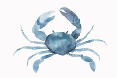 a watercolor painting of a blue crab