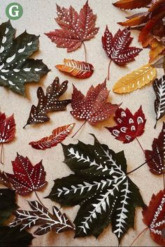 Charming display of leaves emphasizing the colors of autumn. Fall Leaf Crafts, Sunny Nature, Nature Crown, Autumn Leaves Craft, Autumn Craft, Nature Family, Homeschool Crafts, Leaf Crafts, Autumn Crafts