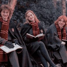 Golden Trio, Hogwarts, Harry Potter, Fan, Books