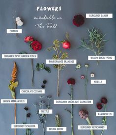 flowers are arranged in the middle of a poster with names on each side and different types of flowers