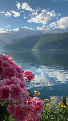 pink flowers are blooming on the edge of a body of water with mountains in the background