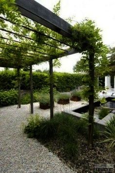 an outdoor garden with lots of trees and plants