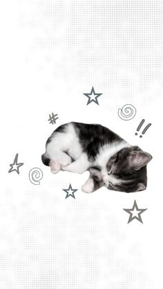 a black and white cat laying on top of stars