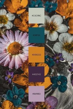 pantone board with different shades of purple, yellow and blue flowers in water on top of each other