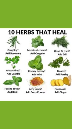 Natural Healing Herbs, Autogenic Training, Sick Remedies, Natural Healing Remedies, Natural Antibiotics, Herbal Healing