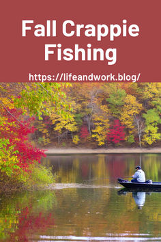 Autumn crappie fishing strategies Under The Surface, Fishing Knots, Deep Water, Fall Weather, Summer Patterns, Fishing Tips