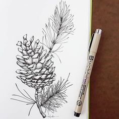 a pencil drawing of a pine cone on top of a paper with a marker next to it