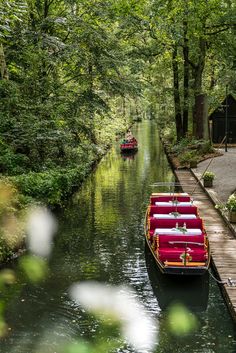 two red boats are on the water near a wooden dock and some trees with green leaves