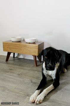 a black and white dog laying on the floor in front of a table with bowls