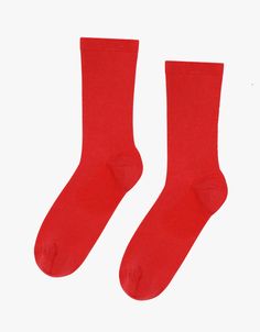 Women Classic Organic Sock - Scarlet Red – Colorful Standard US Red Socks, Oxblood Red, Twill Shorts, Petrol Blue, Wool Beanie, Happy Socks, Soft And Gentle, Cotton Socks, Red Sox