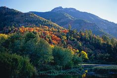 the mountains are covered in autumn foliage and there is a river running between them with trees on both sides