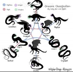 the different types of dragon's and their names are shown in this graphic diagram