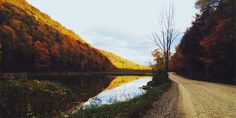 a dirt road next to a body of water surrounded by trees in the fall colors