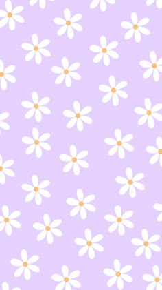 a purple background with white daisies on it