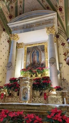 Italian Catholic Aesthetic, Virgencita Wallpaper, Mexican Catholic Art, Roman Catholic Art, Mexico Wallpaper, Hispanic Aesthetic, Catholic Wallpaper, Church Aesthetic