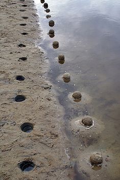 several stones are lined up in the sand