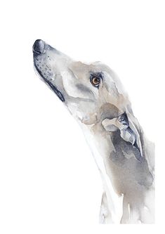 a watercolor painting of a dog's head