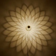 a large white flower shaped light fixture in a room with shadows on the wall behind it