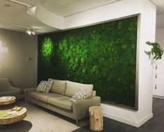 a living room filled with furniture and a large green wall behind the couch is a coffee table