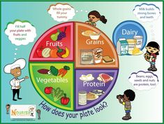 Five Food Groups, Healthy Plate, Nutrition Month, Groups Poster, Health Class, Colorful Poster, Food Groups, Homeschooling Ideas, Healthy Lifestyle Food