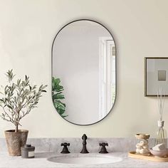 a bathroom sink with a mirror above it and plants on the counter next to it