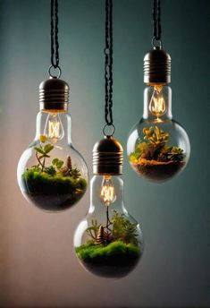 three light bulbs that have plants inside of them