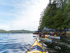 two people in kayaks are paddling on the water near some trees and rocks