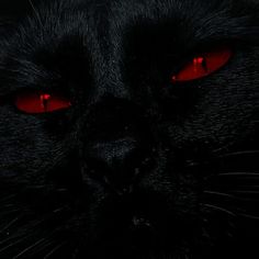 the black cat has red eyes and is looking at something with bright red glowing eyes