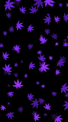 purple leaves are flying in the air on a black background