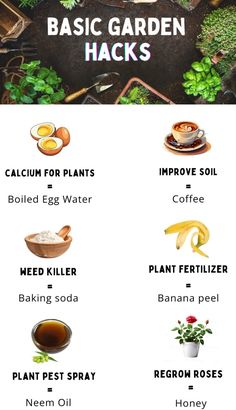 the basic garden hacks for beginners to learn how to grow and use them