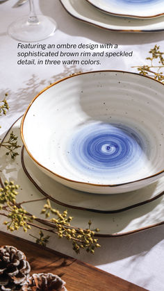 two white and blue plates sitting on top of a wooden table next to pine cones