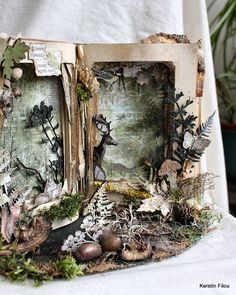 an open book with pictures and plants inside