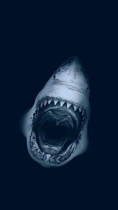 a shark with its mouth open and it's teeth lit up in the dark